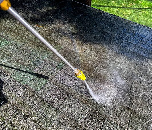 Why Does One Side of Your Edmonds Roof Have More Moss Than the Other? roof cleaning in Edmonds