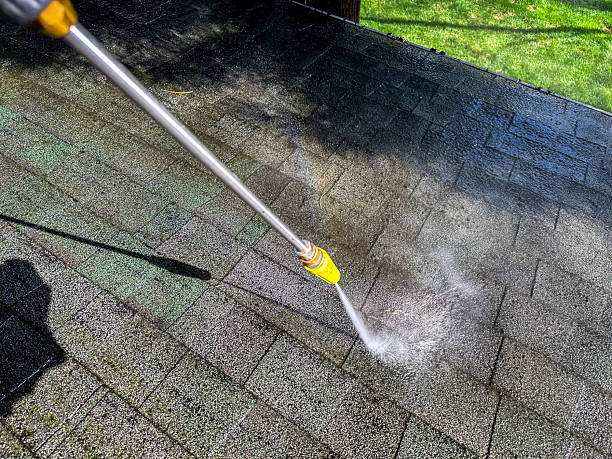 roof cleaning in Edmonds roof cleaning in Edmonds